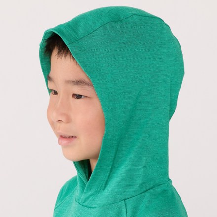 REI Co-op Sahara Shade Hoodie - Toddlers' 4