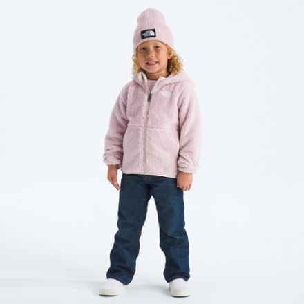 The North Face Campshire Full-Zip Hoodie - Toddlers' 2