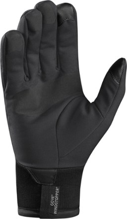 Arc'teryx Venta Gloves 2