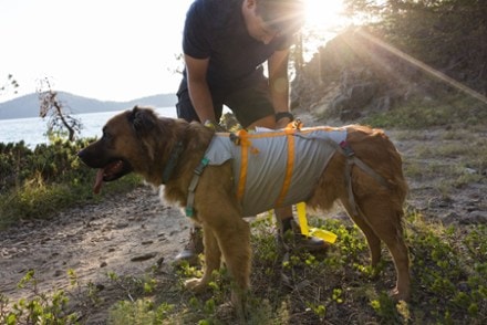 Ruffwear BackTrak Evacuation Kit 7