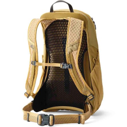 Gregory Arrio 20 Pack 1