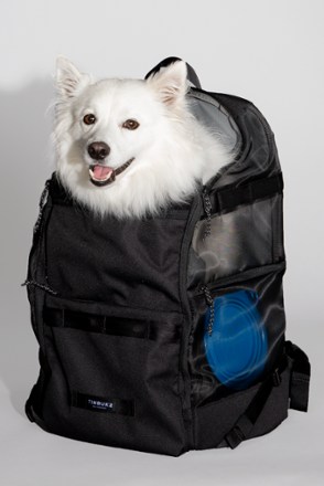 dog backpack carrier