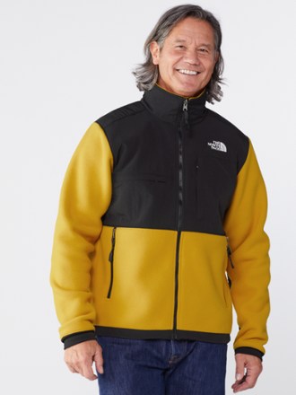 the north face fleece mens