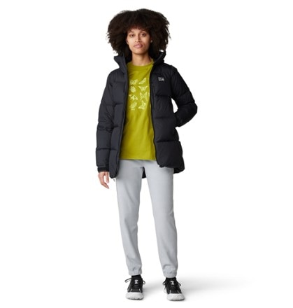 Mountain Hardwear Microchill Joggers - Women's 1