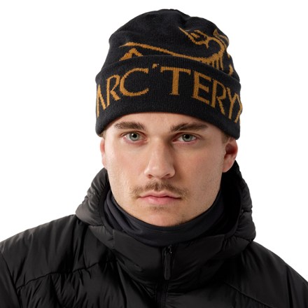 Arc'teryx Bird Word Toque 1