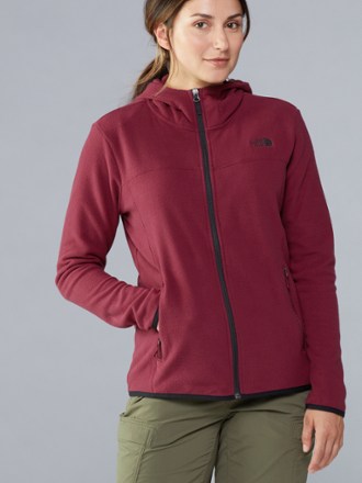 the north face glacier hoodie