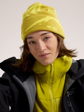 Arc'teryx Grotto Toque Hat 1