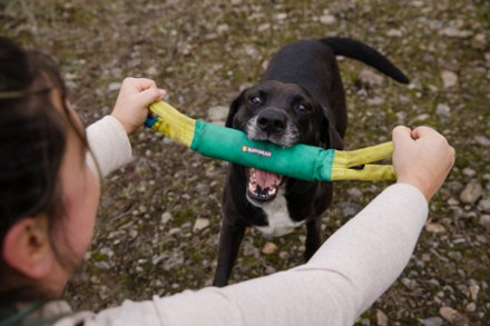 Ruffwear Pacific Loop Toy 4