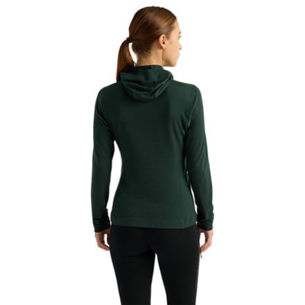 Arc'teryx Satoro Merino Wool Base Layer Hoody - Women's 2