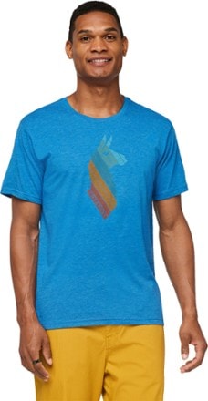 Cotopaxi Llama Stripes Organic T-Shirt - Men's 1