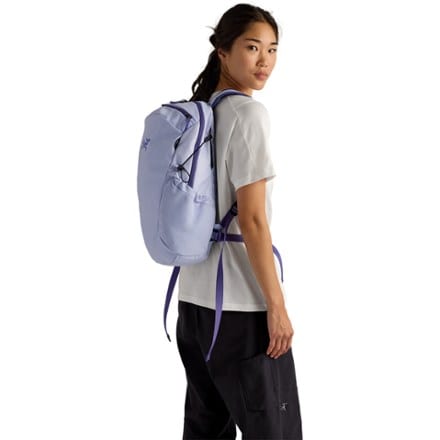 Arc'teryx Mantis 16 Pack 9