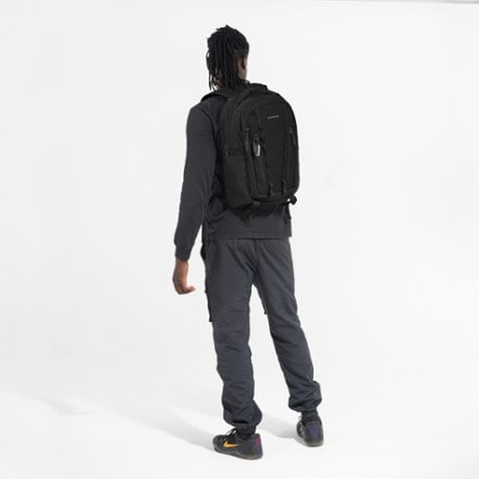 Sherpani Quest 20 L Day Bag 4