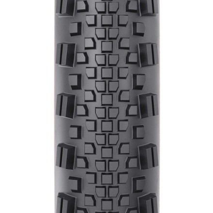 WTB Raddler TCS Light/Fast Rolling 120 tpi Dual DNA SG2 Tire | REI