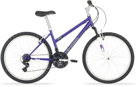 cannondale synapse electric bike