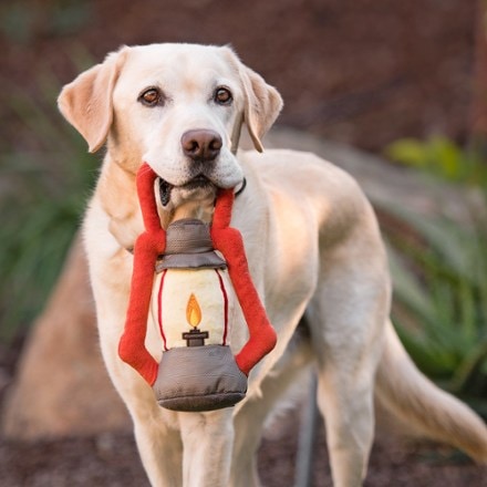 Play Pet Brands Camp Corbin Pack Leader Lantern Dog Toy 5