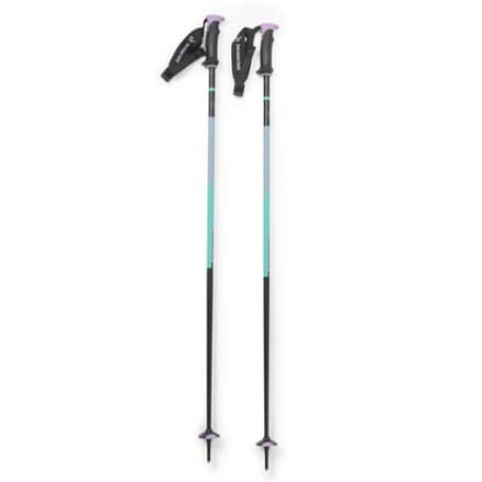 Salomon Polar Pro S3 Ski Poles - Pair 0