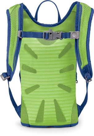 Back View (Wild Blue)