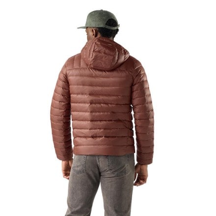 Smartwool Winterloft Hooded Down Jacket - Men's 1