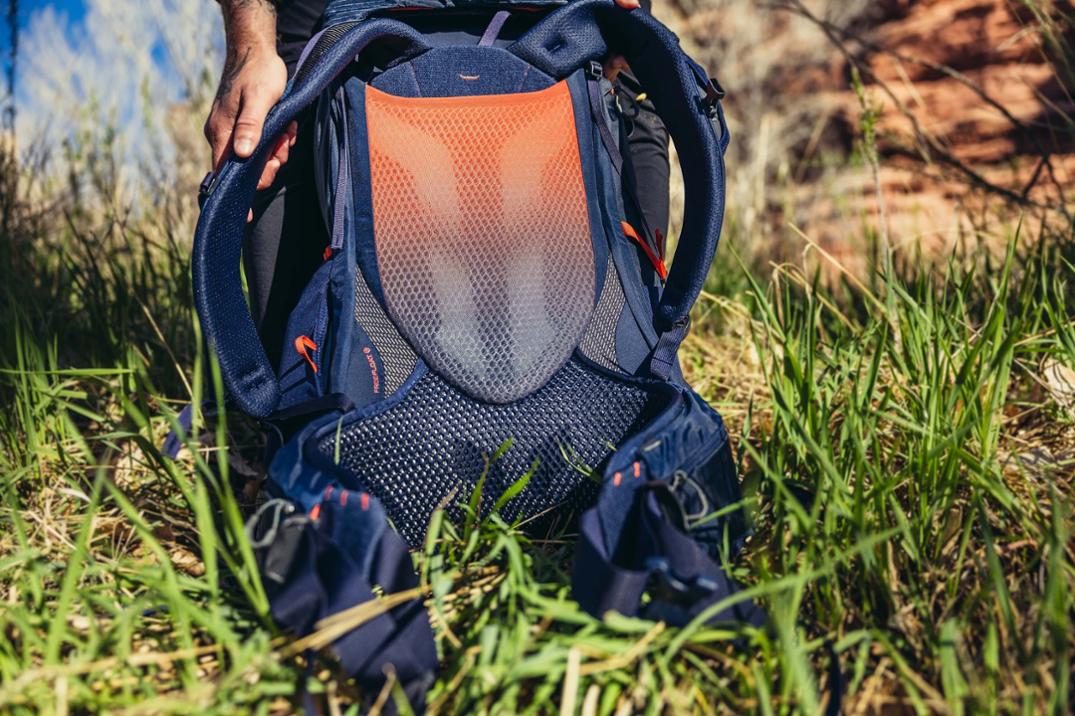 Location Image for Paragon 50 Pack - Men's