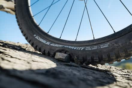 Schwalbe Schwalbe Albert Gravity Pro Radial Tire 4