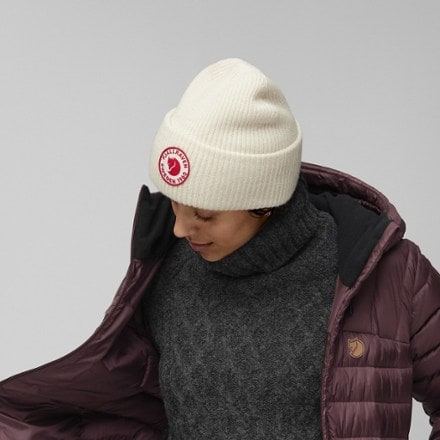 Fjallraven 1960 Logo Hat 5