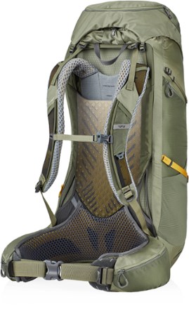 Gregory Paragon 48 Pack - Men's Back view (Burnt Olive)