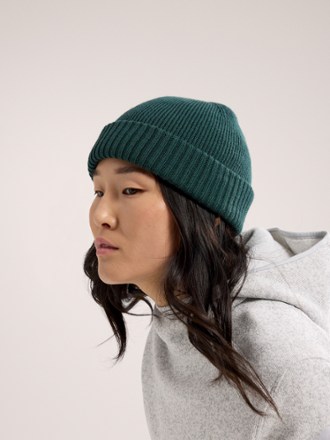 Arc'teryx Mallow Toque Hat 4