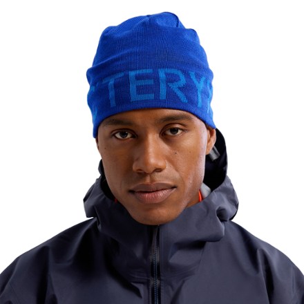 Arc'teryx Word Head Toque 1