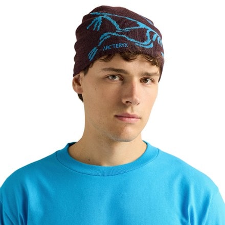 Arc'teryx Bird Head Toque Beanie 1