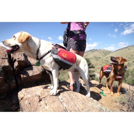 In-Use (Heritage Red)