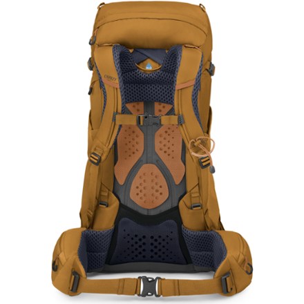 Osprey Kyte 38 Pack - Women's 4