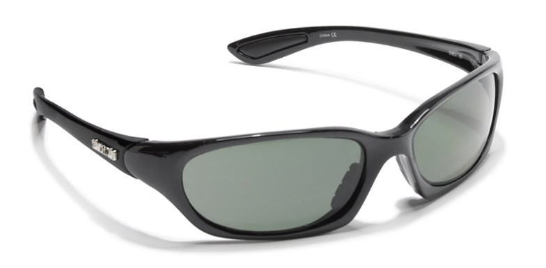 Product Image of color Black/Polarized Gray