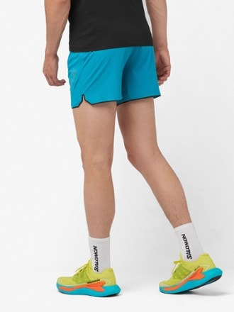 Salomon Men s Running Shorts REI Co op