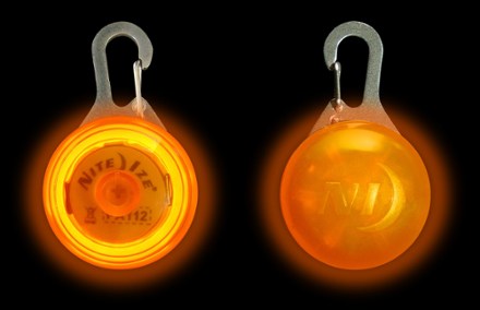 Alternate View (Orange)