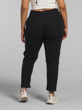 The North Face Alpine Polartec 100 Pants - Women's 2