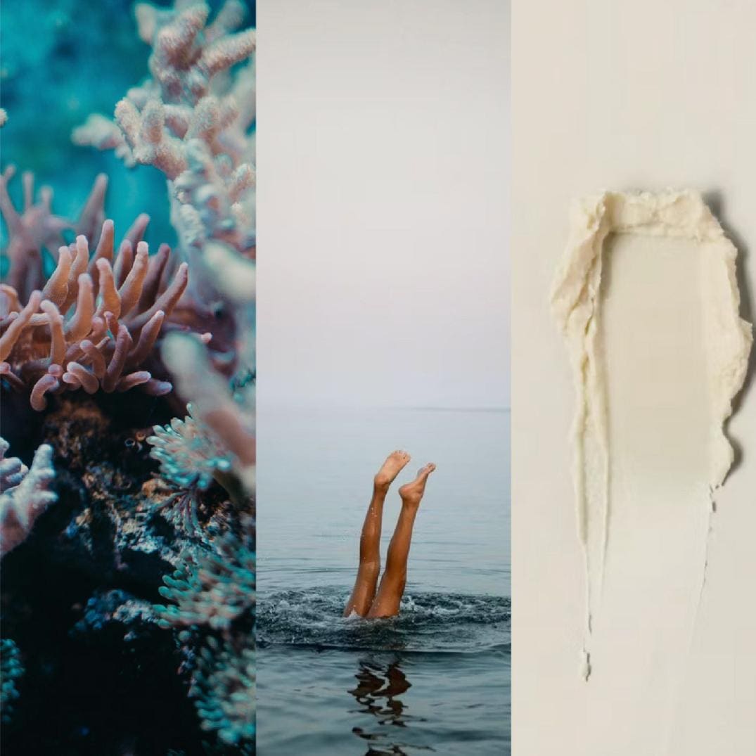 Location Image for SPF 50 Reef-Safe Sunstick