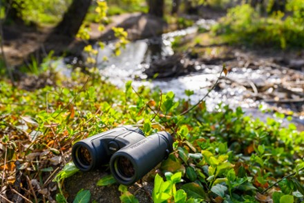 Location Image for Prostaff P7 8 x 30 Binoculars