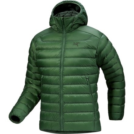 Arc'teryx Cerium Down Hoody - Men's 0