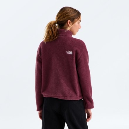 The North Face Fleeski Quarter-Zip Pullover - Women's 1
