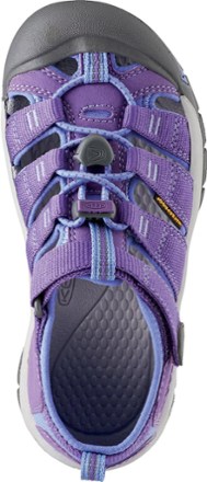 Top View (Purple Heart/Periwinkle)