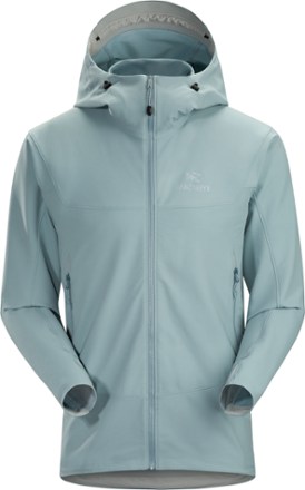 ARC'TERYX (アークテリクス) GAMMA LT HOODY Arc'teryx Men's Gamma LT Hoody | Active Junky
