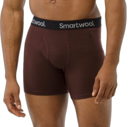 smartwool underwear