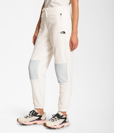 The North Face Alpine Polartec 200 Pants - Women's 2