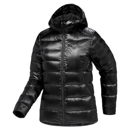 Arc'teryx Cerium SV Down Hoody - Women's 0