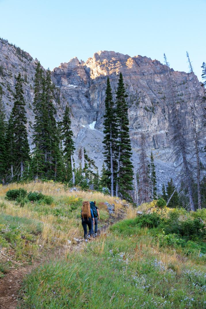 Location Image for Maven 68 Pack - Women's