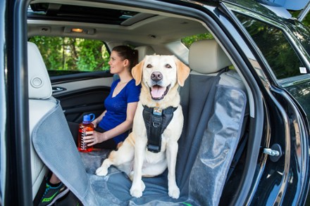 In Use (Black/Green)