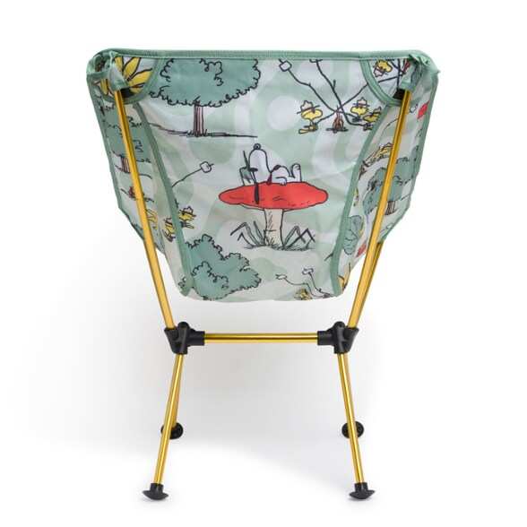 Detail Image of color Beagle Scout