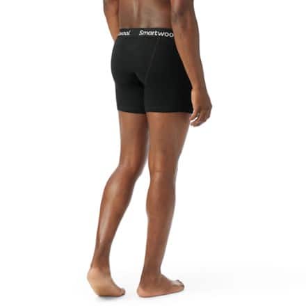 Smartwool Merino Boxer Briefs - Boxed - Men's 2