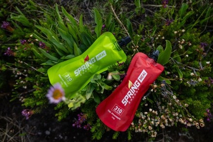 Spring Energy Endurance Meal 4