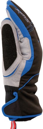Swix Arendal Gloves - Men's 2